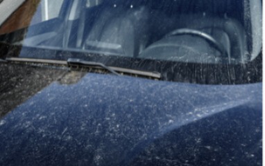 WhatsApp Image 2025-06-17 at 5.16.03 PM