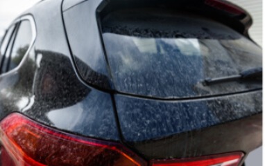 WhatsApp Image 2025-06-17 at 5.17.00 PM